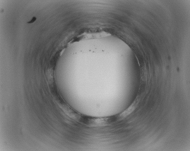 X0000069390184200606021641