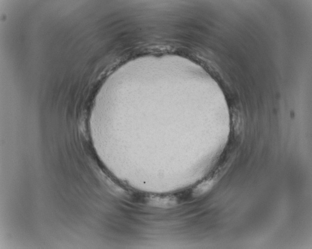 X0000069390185200606021641