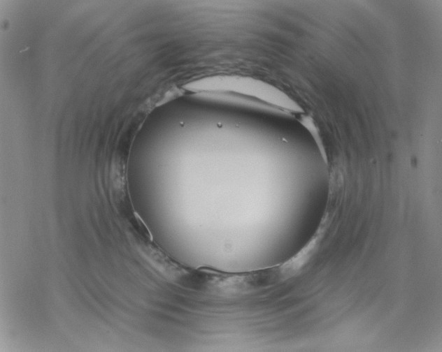 X0000069390186200606021641