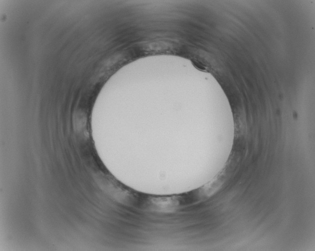 X0000069390187200606021641