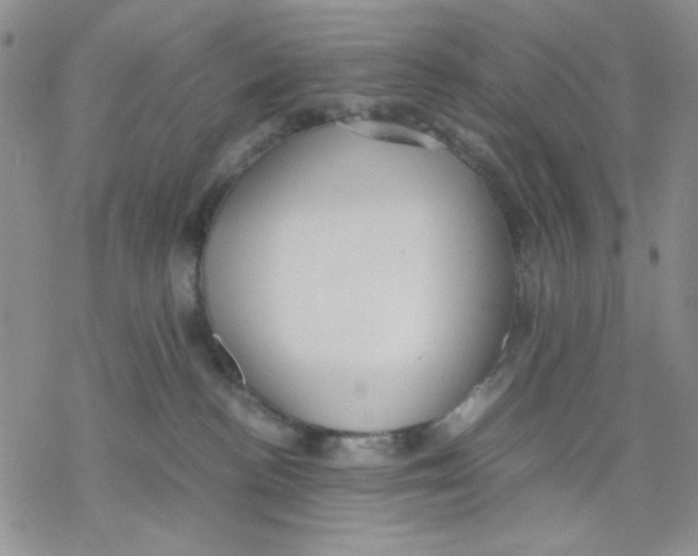 X0000069390188200606021641