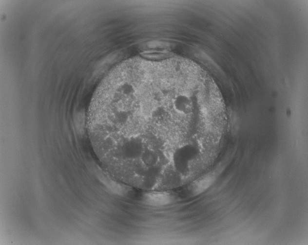 X0000069390189200606021641