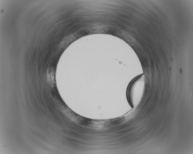 X0000069390190200606021641