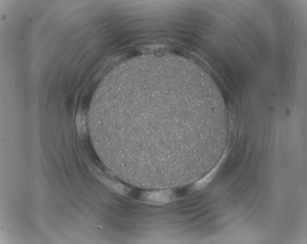 X0000069390191200606021641