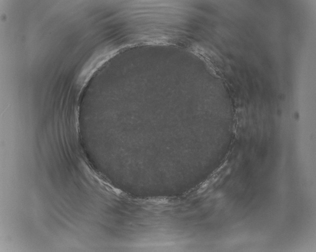 X0000069390194200606021640