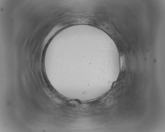 X0000069390195200606021640