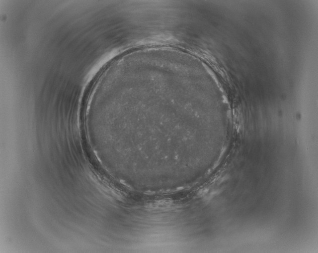 X0000069390196200606021640