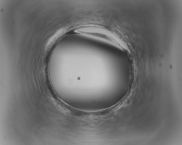 X0000069390197200606021640