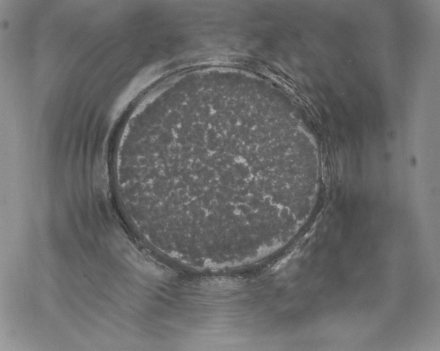 X0000069390198200606021640