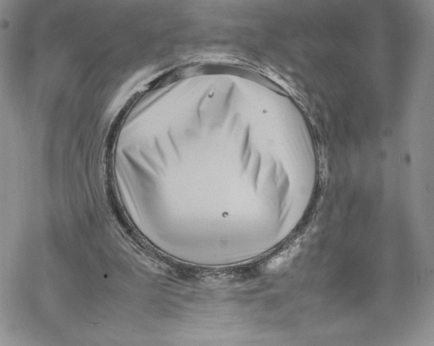 X0000069390199200606021640