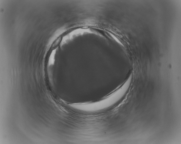 X0000069390200200606021640