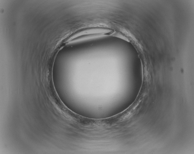 X0000069390201200606021640