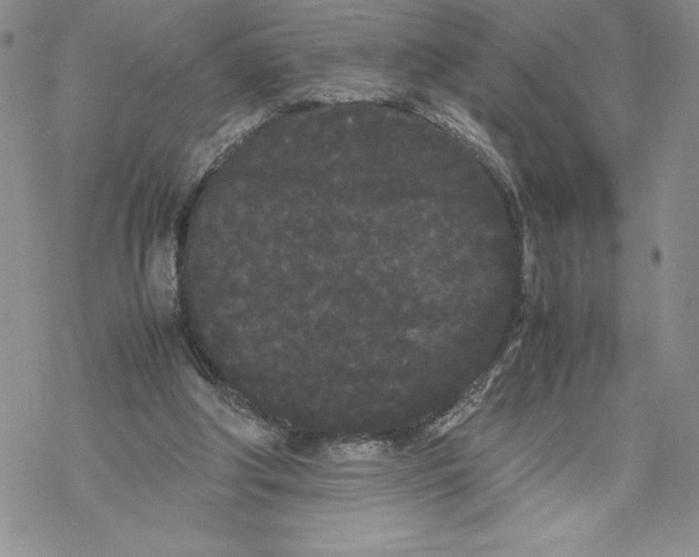 X0000069390202200606021640