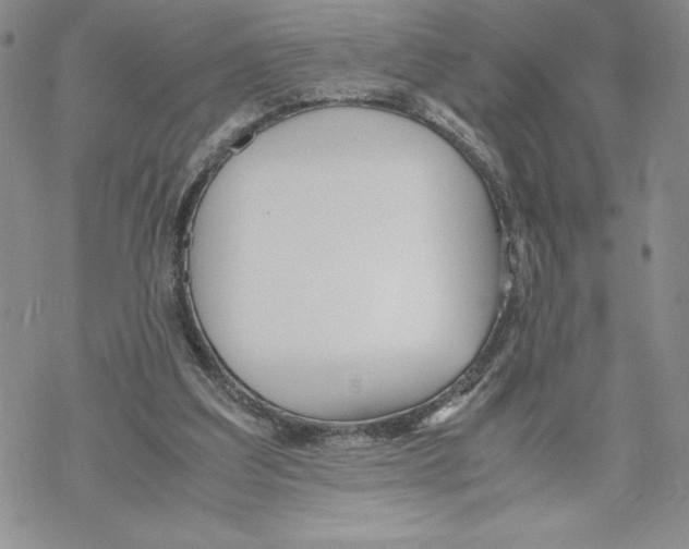 X0000069390203200606021640