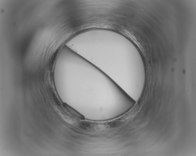 X0000069390205200606021640