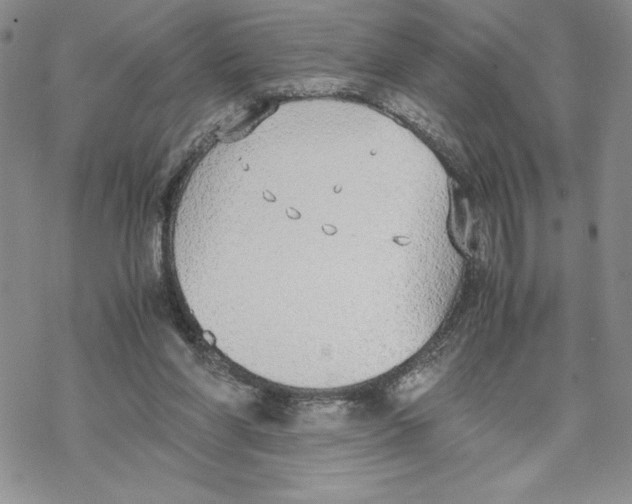 X0000069390206200606021640