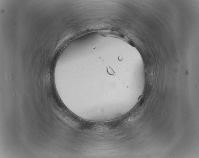 X0000069390207200606021640