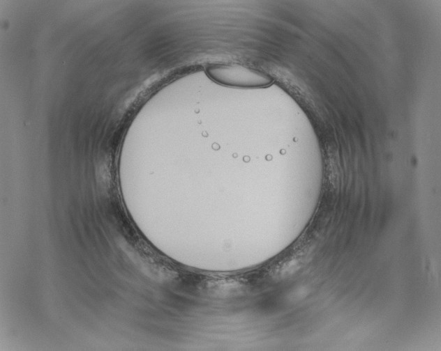 X0000069390208200606021640