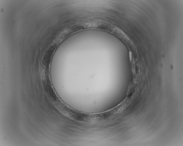 X0000069390209200606021640