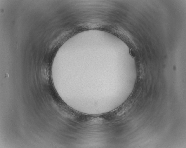 X0000069390210200606021640