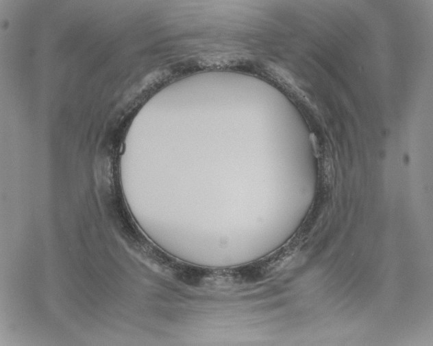 X0000069390211200606021640