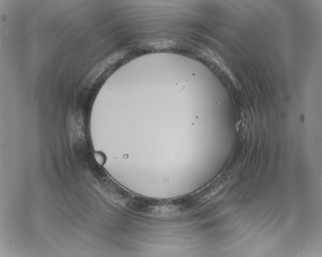 X0000069390212200606021640