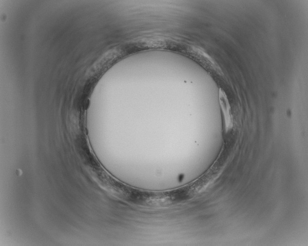 X0000069390213200606021640