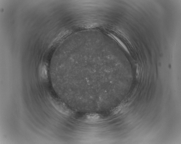 X0000069390214200606021640