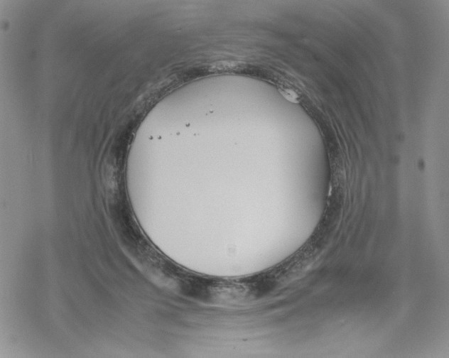 X0000069390215200606021640