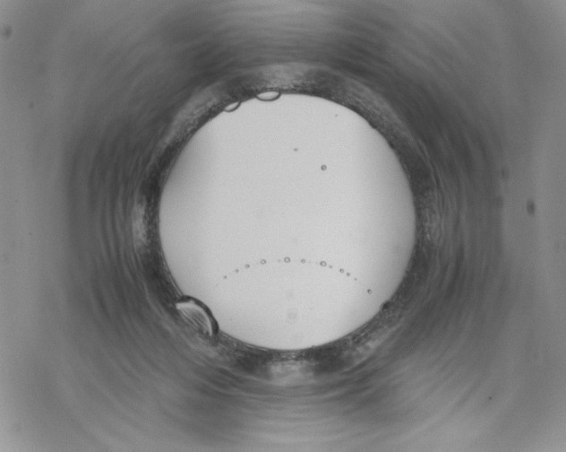 X0000069390216200606021640