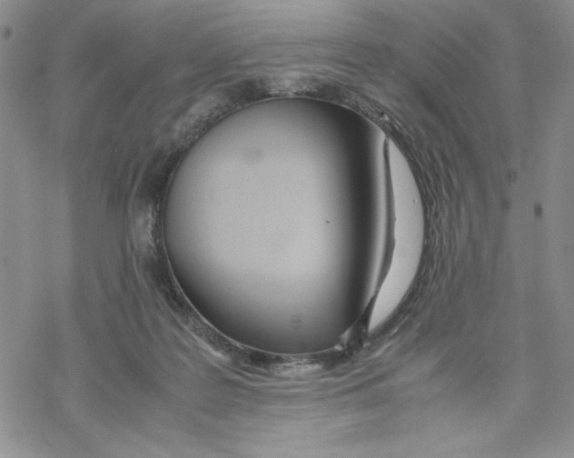 X0000069390219200606021640