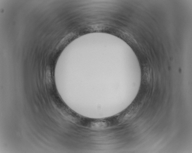 X0000069390220200606021640