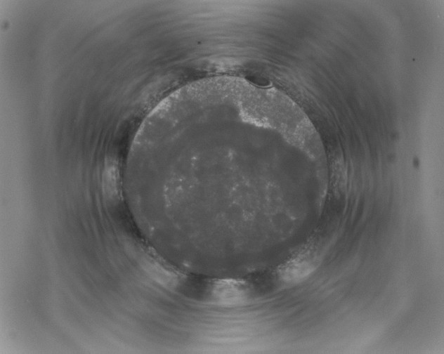 X0000069390222200606021640