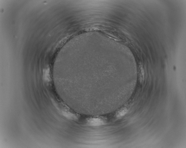 X0000069390224200606021640