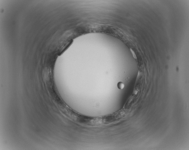 X0000069390225200606021640