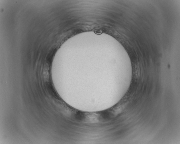 X0000069390226200606021640