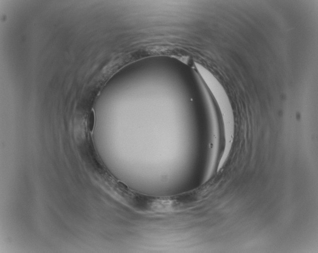 X0000069390227200606021640