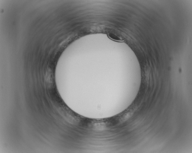 X0000069390228200606021639