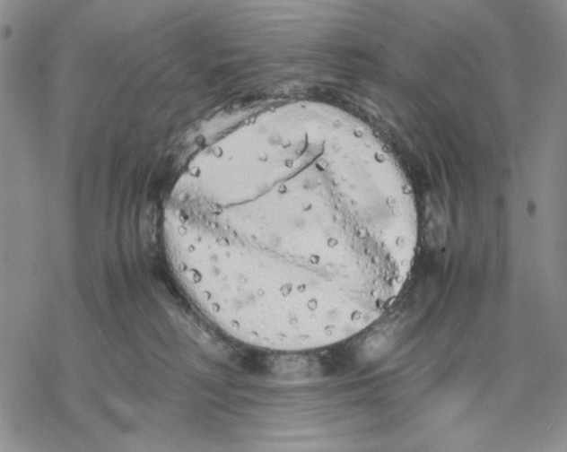 X0000069390230200606021639