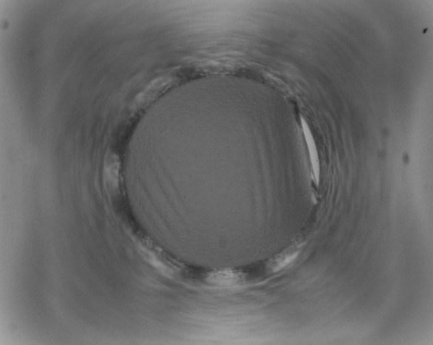 X0000069390231200606021639