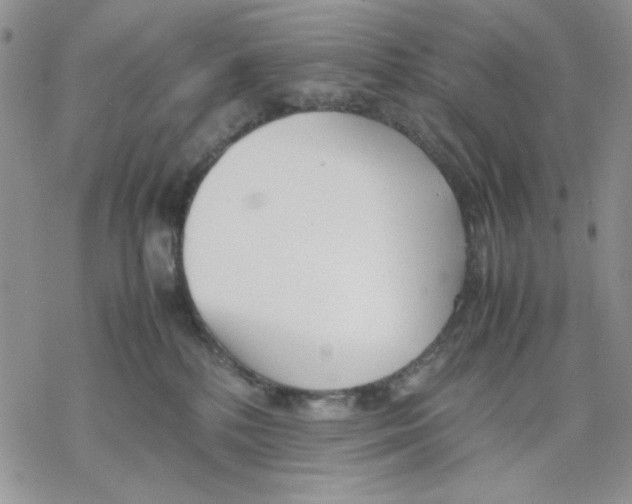 X0000069390232200606021639