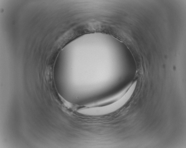 X0000069390233200606021639