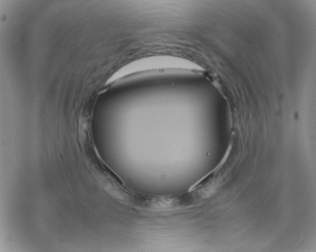 X0000069390235200606021639