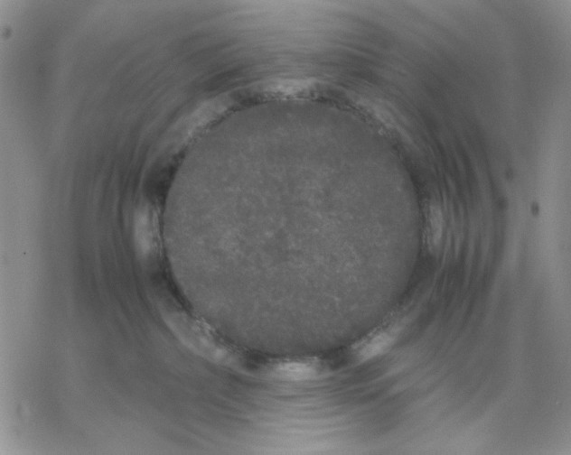 X0000069390236200606021639