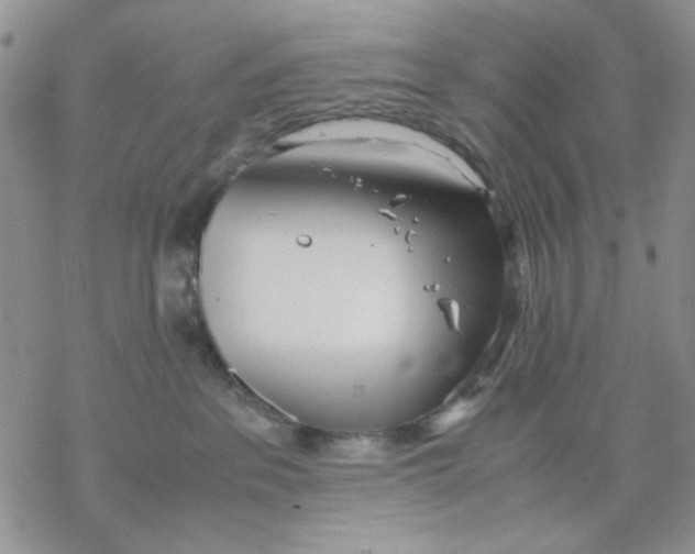 X0000069390237200606021639