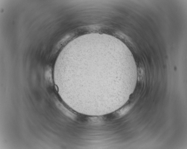 X0000069390238200606021639