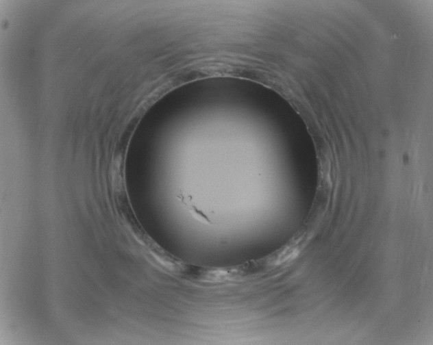 X0000069390239200606021639