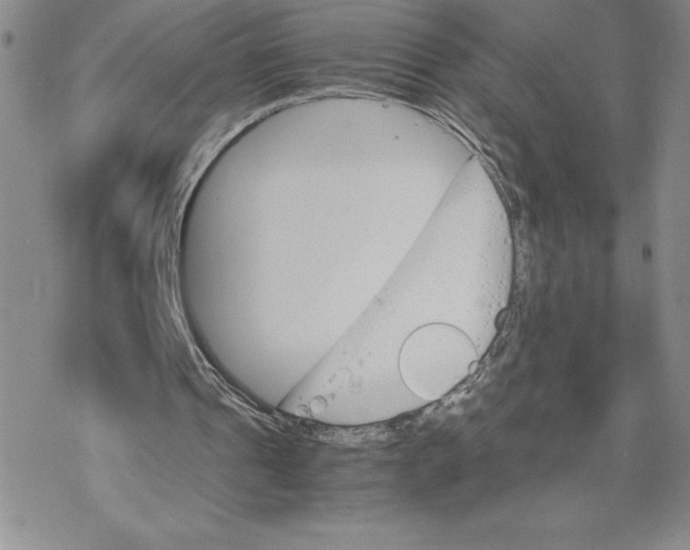 X0000069390241200606021639