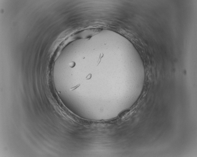 X0000069390242200606021639