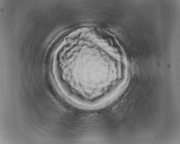 X0000069390243200606021639